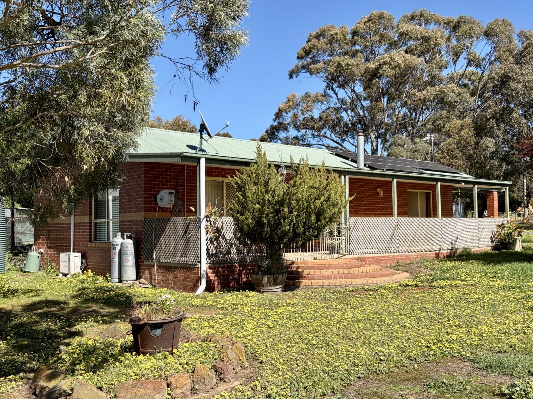 Print Image